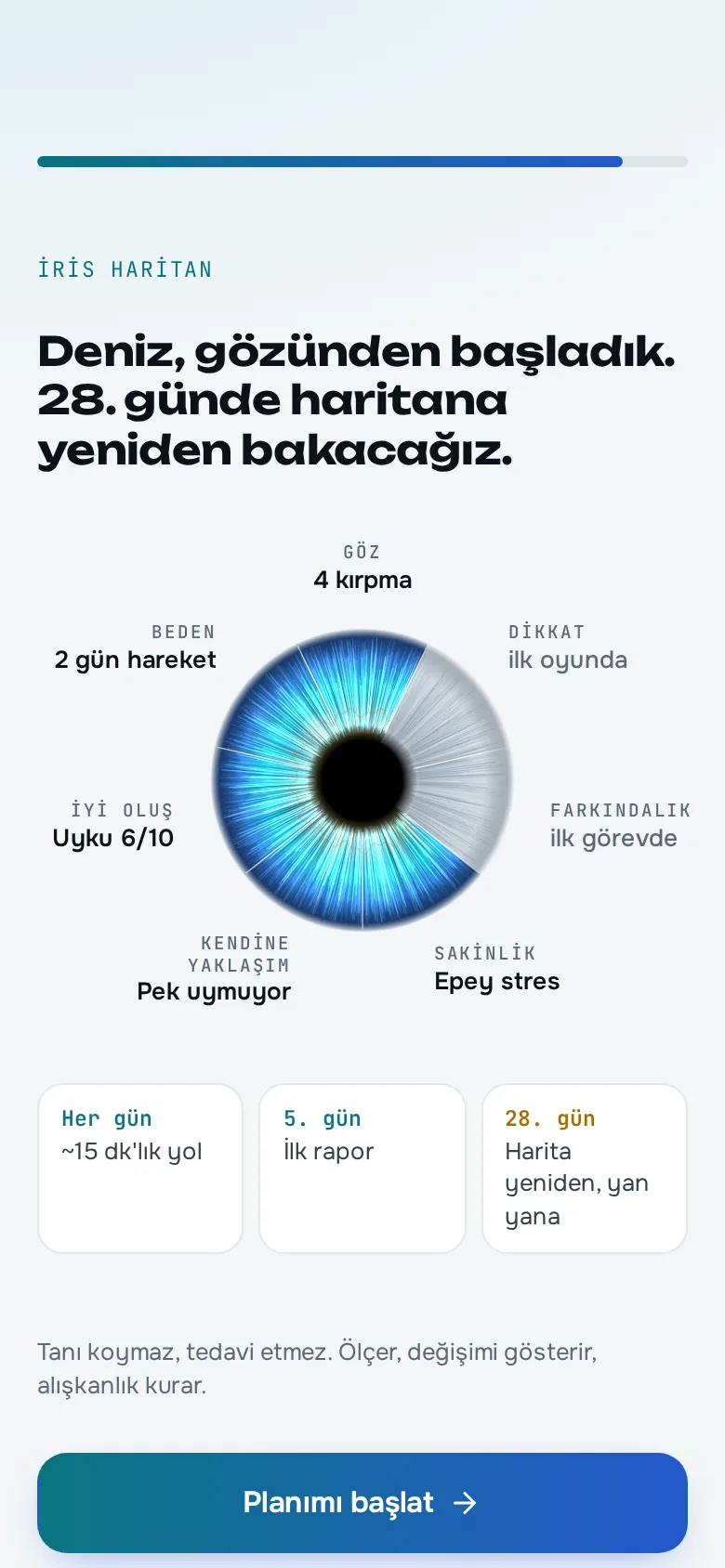 Kurulum: 'Deniz, gözünden başladık. 28. günde haritana yeniden bakacağız.' İris haritası ve yedi alanın başlangıç değerleri